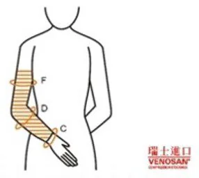 醫用輔助臂套 C、D、F 手腕、前臂與上臂量測位置圖